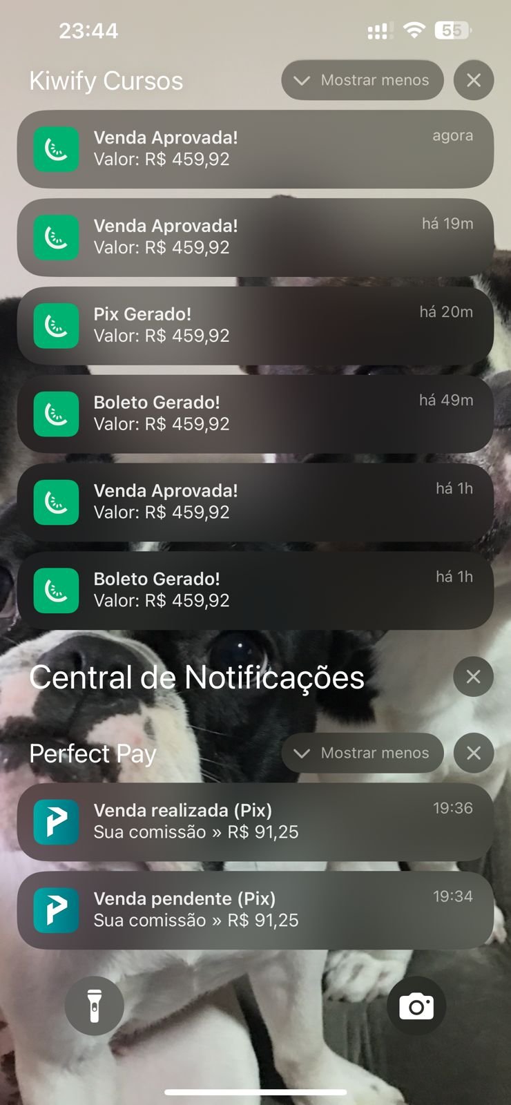 WhatsApp Image 2026-01-26 at 17.08.35 (2)