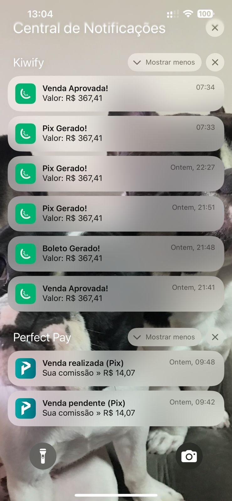 WhatsApp Image 2026-01-26 at 17.08.35 (3)